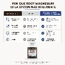 Magnesio (2).webp