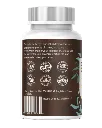 Inmune (10).webp