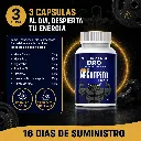 Mega Testo.webp