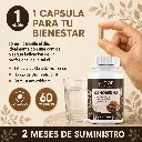 Ganoderma (1).webp