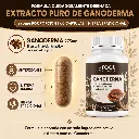 Ganoderma (3).webp