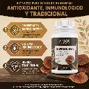 Ganoderma (4).webp