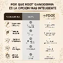 Ganoderma (2).webp