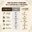Cordyseps (4).webp