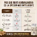 Ashwaganha 5.webp