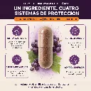 Resveratrol 3.webp