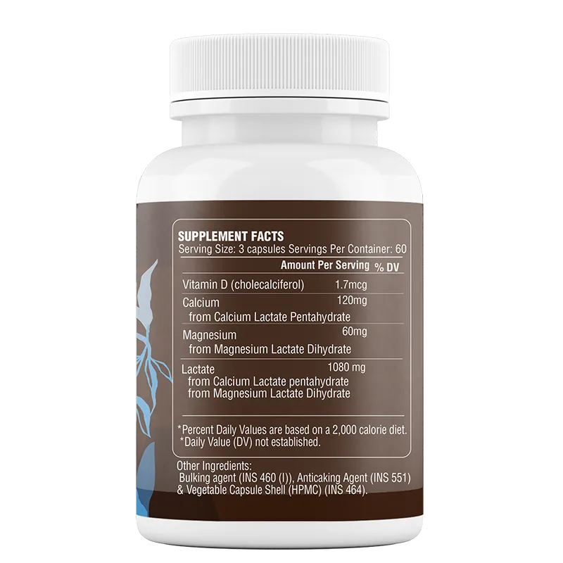 fast fitness boost 800 listo.webp
