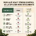 Anti estres (4).webp
