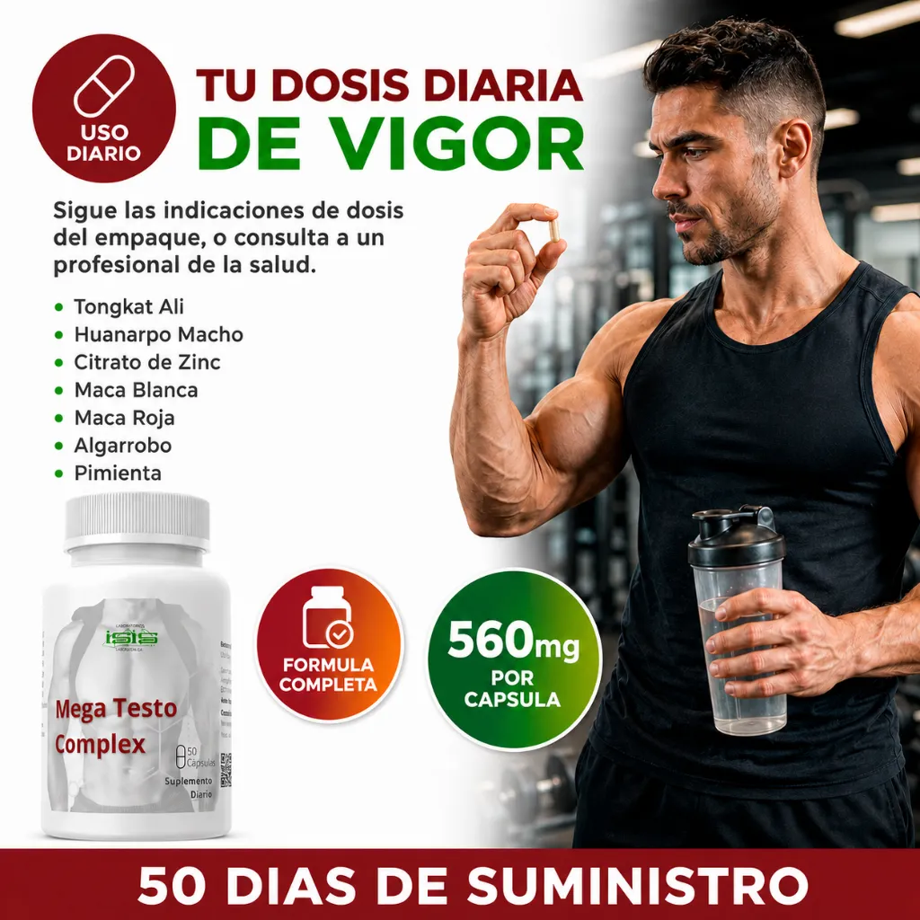 Mega testo (3).webp