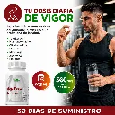 Mega testo (3).webp
