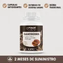 Ganoderma Antioxidant Capsules de Root Nutraceuticals: Un refuerzo natural para tu sistema inmune
