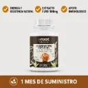 Cordyceps de Root Nutraceuticals: energía natural y resistencia optimizada